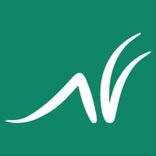 Grasshopper Fussball AG — profile photo on Arch Town