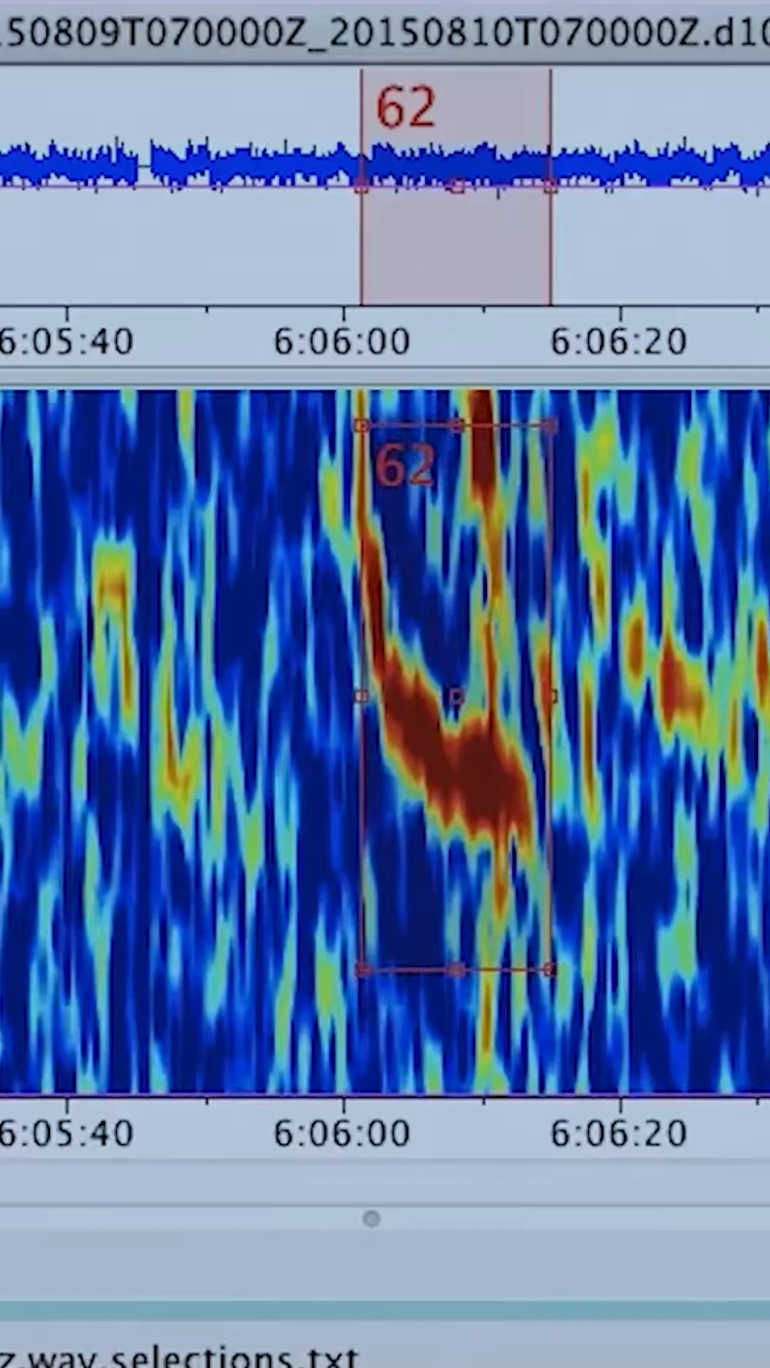 Neural network that can understand dolphin language created by Google