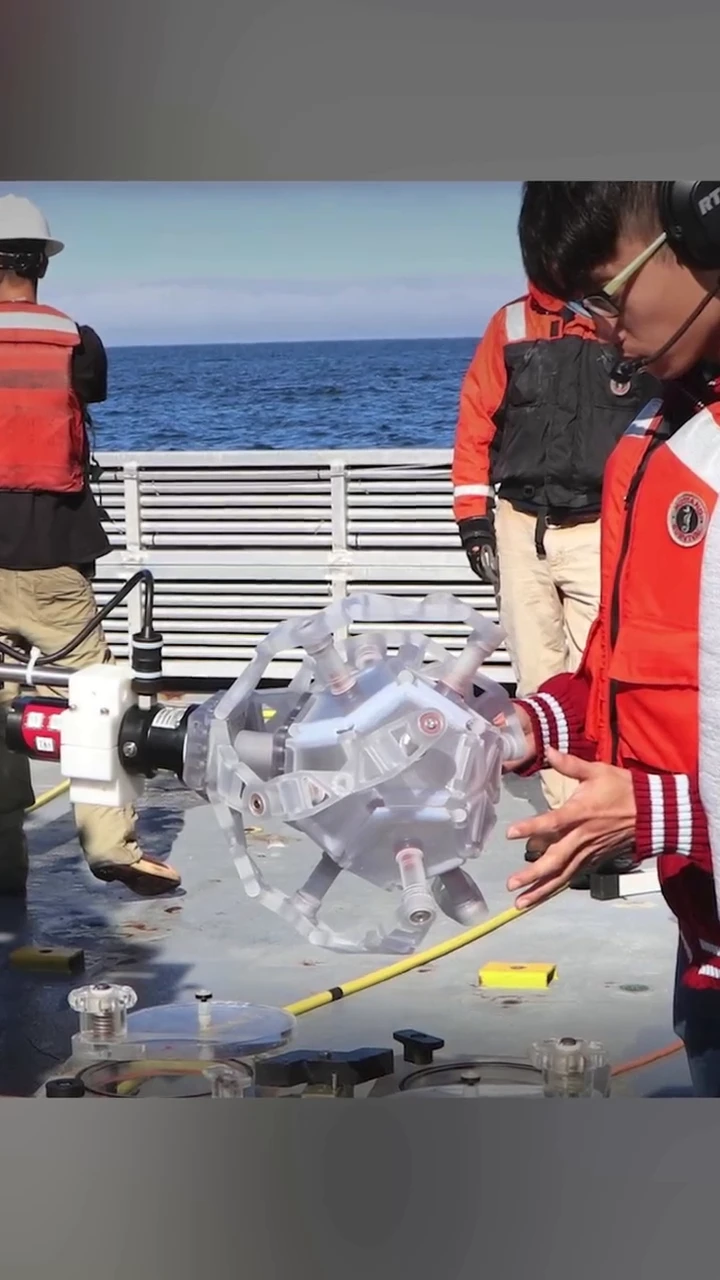 This pokeball catches ocean animals