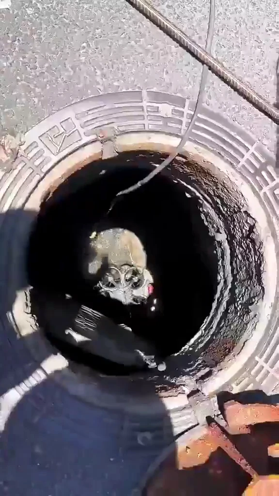 This high-tech drone inspect infrastructure faster, safer, and smarter, using AI 
