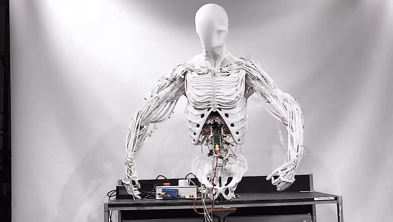 Clone unveils its first bimanual Torso