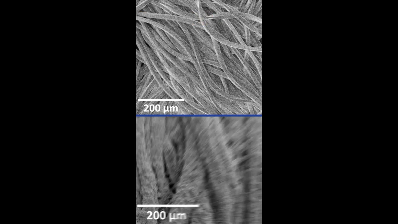 Innovative chalk-based cooling fabric invented in the US
