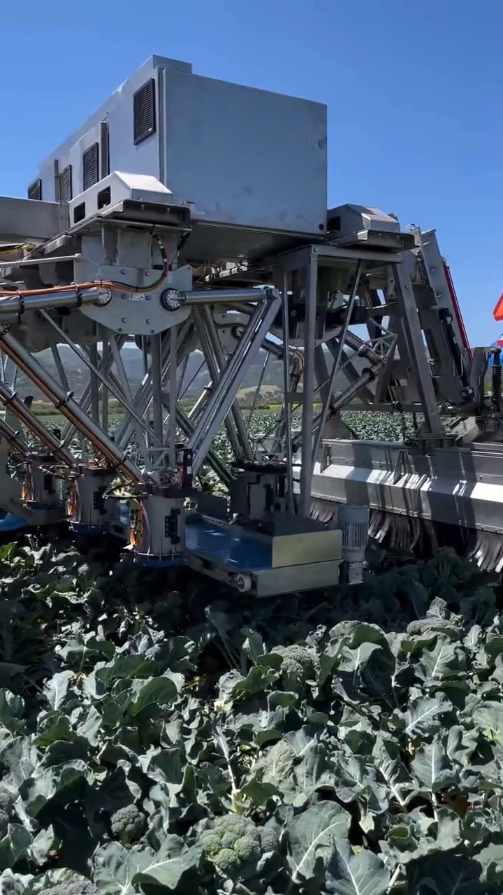 Broccoli Meets Mechatronics – This Huge Robot Handles the Harvest