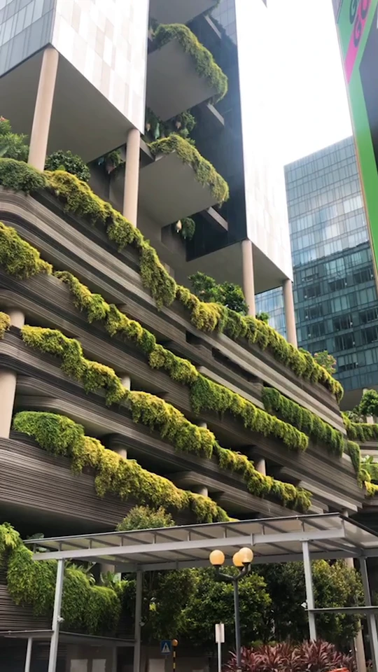 Your daily dose of urbanism. The amazing shot from Singapore