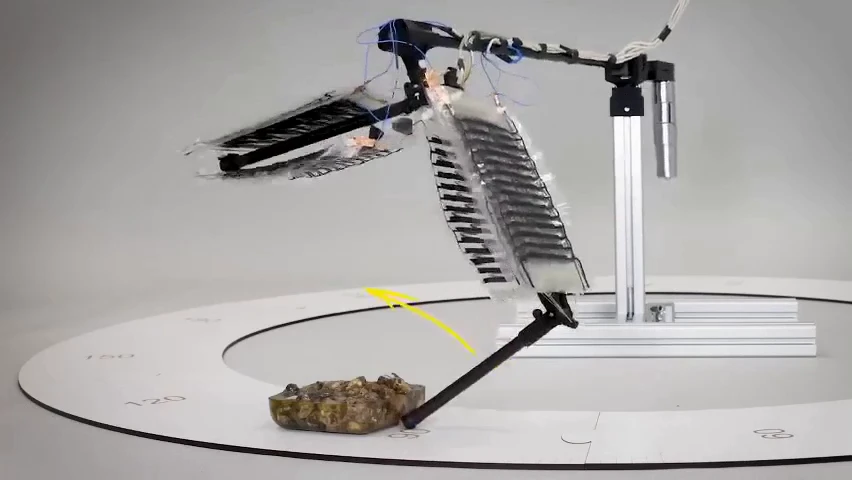 Engineers have created a muscle actuator for robotic limbs