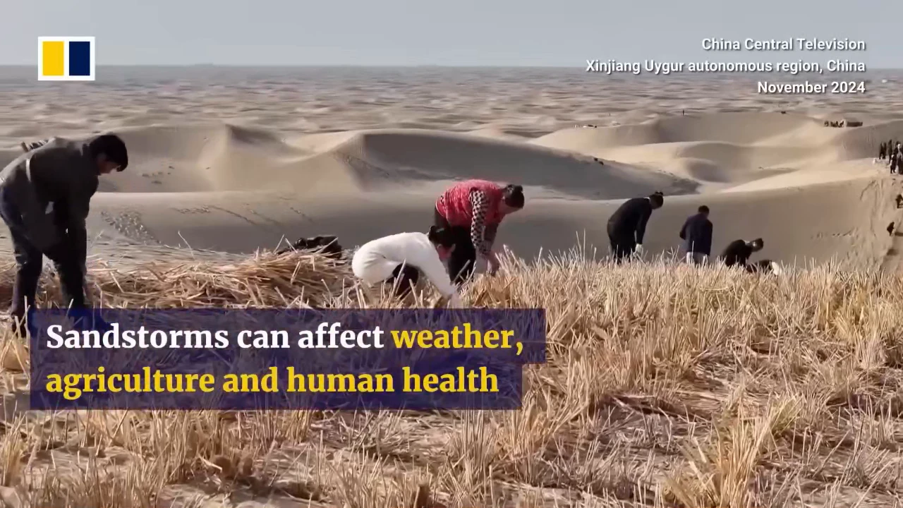China Completes 3,000-Kilometer Green Belt Around Taklamakan Desert