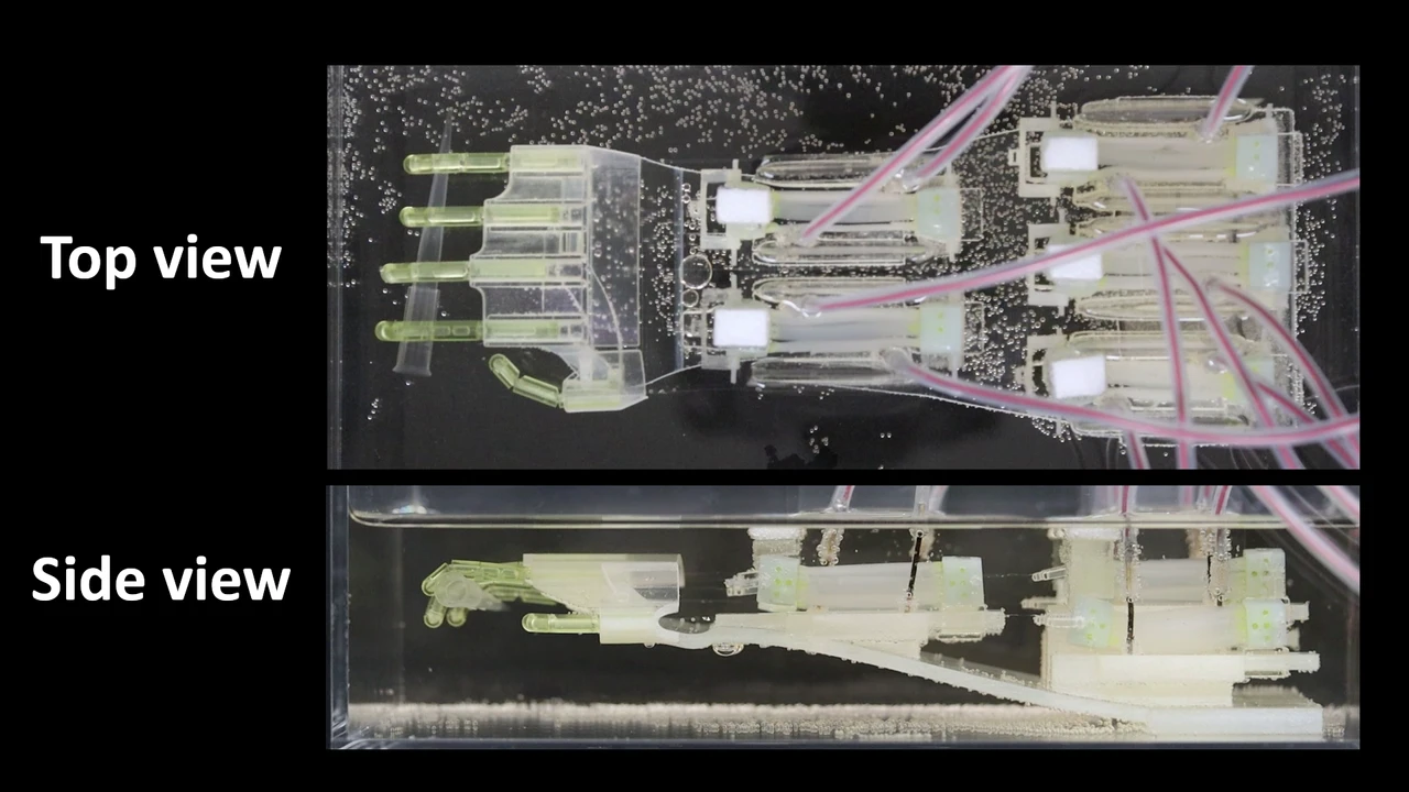 The Japanese have made a robot arm with human muscles