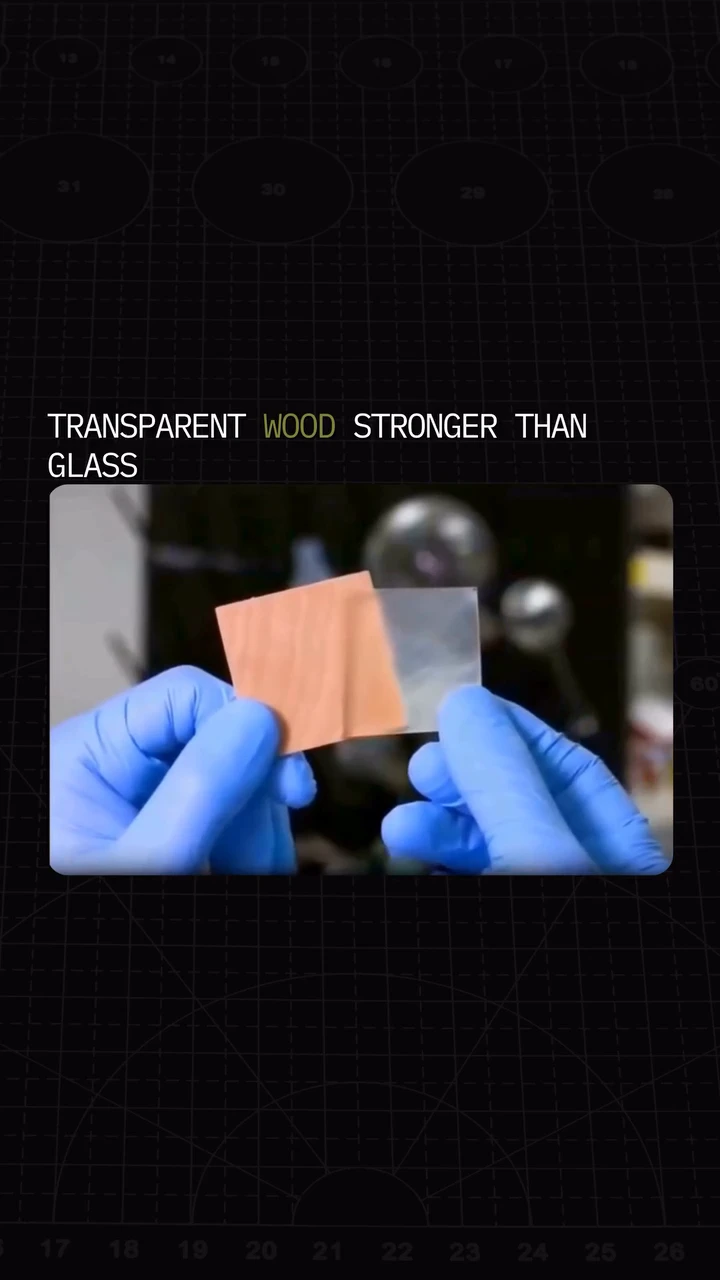 Transparent wood could replace glass in future buildings