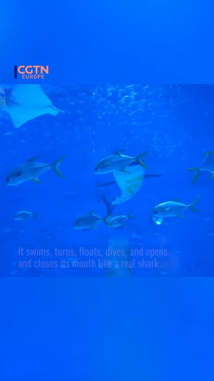 China has built the first whale shark robot in the world