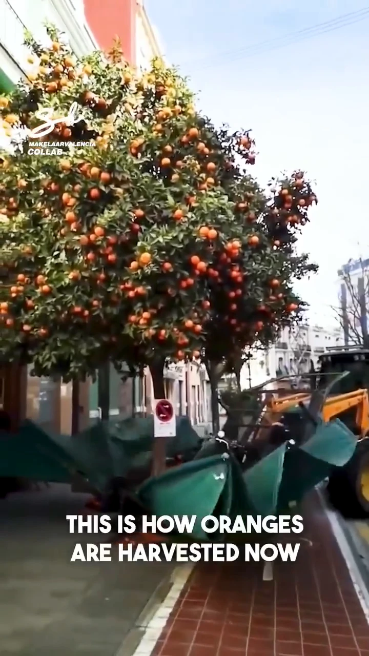 Farming is evolving and it’s not about machines replacing humans