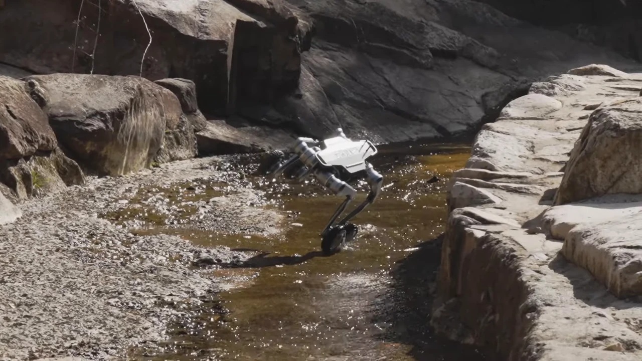 Deep Robotics showed off the acrobatic capabilities of its robot