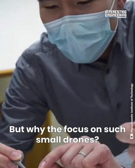 Dragon. An example of the drone transformation technology in the air