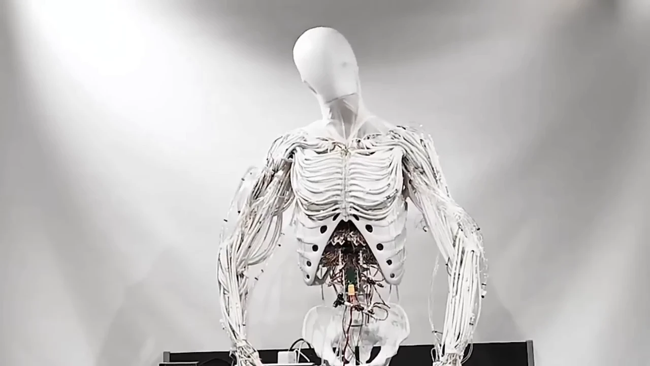 Polish Startup Clone Unveils Full-Size Humanoid Robot with Hydraulic Muscles