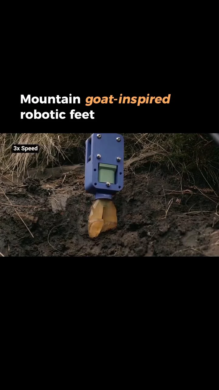 This Goat-Inspired Hoof Outsmarts Slippery Terrain