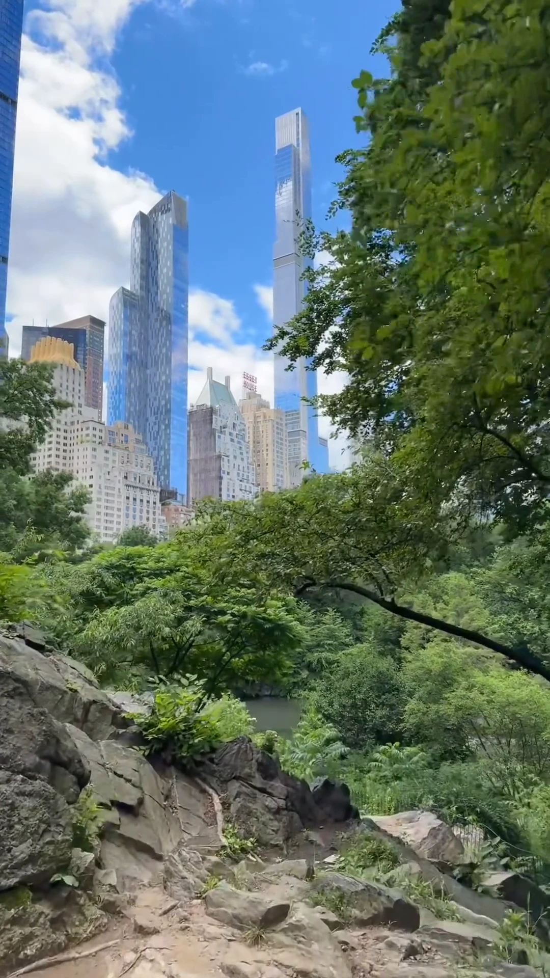 View of the skyline from Central Park in Manhattan