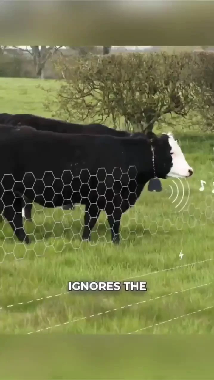 No posts, no wires - just innovation