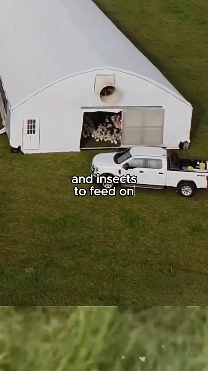 ARC Pasturebird. A robotic chicken coop that is powered by solar energy