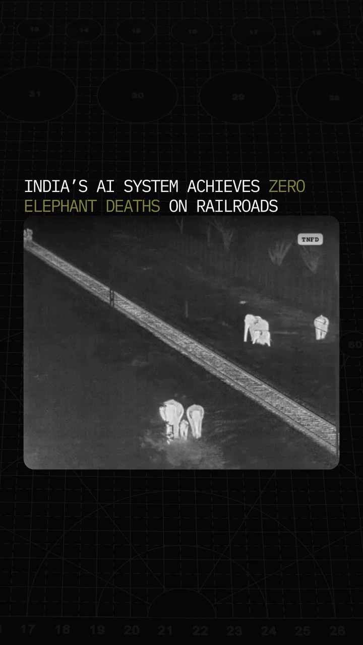 AI cameras in Tamil Nadu have saved elephants from trains