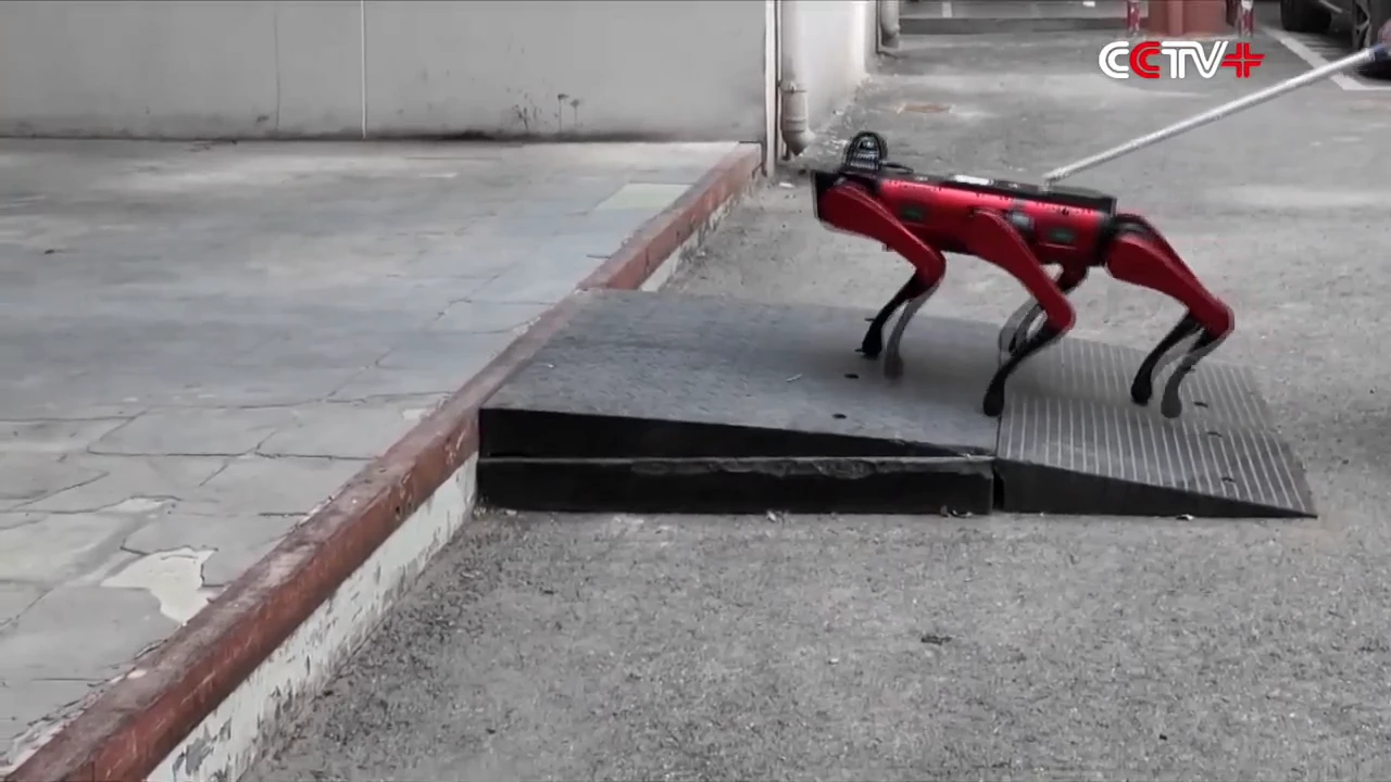 Chinese robodog successfully tested in the harsh conditions of Antarctica