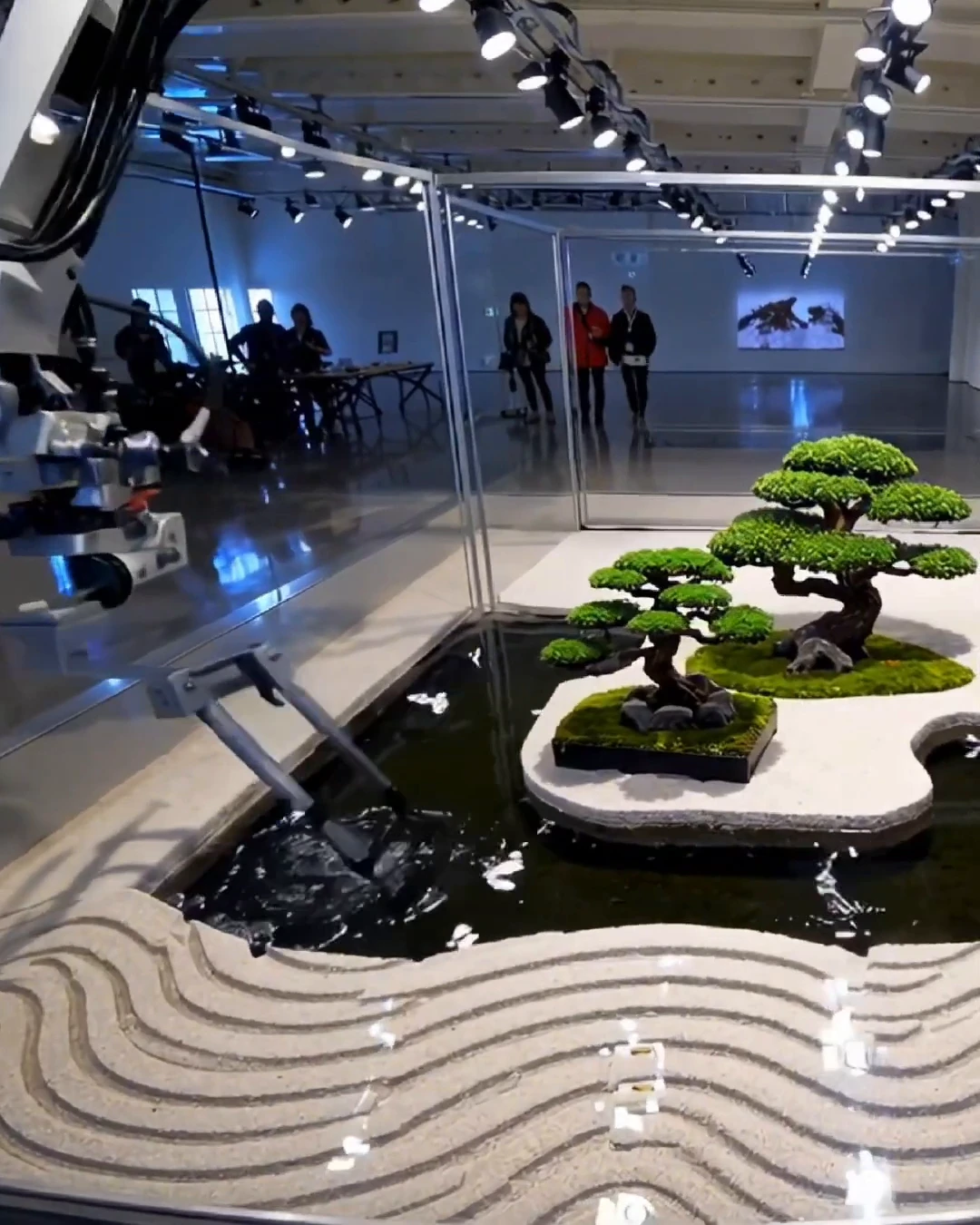 Art meets science in Ronen Tanchum’s mesmerizing Zen Garden