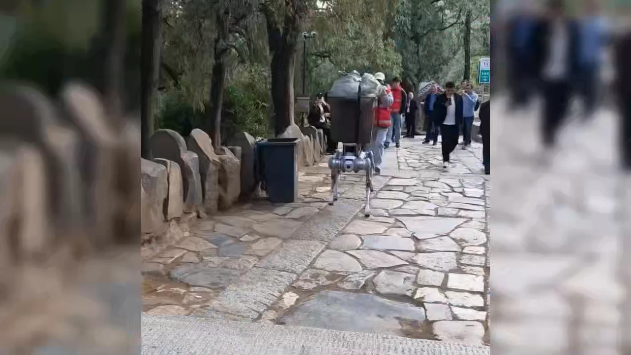 Robot Dogs Put to Work in China’s Mountains to Help Clean Up