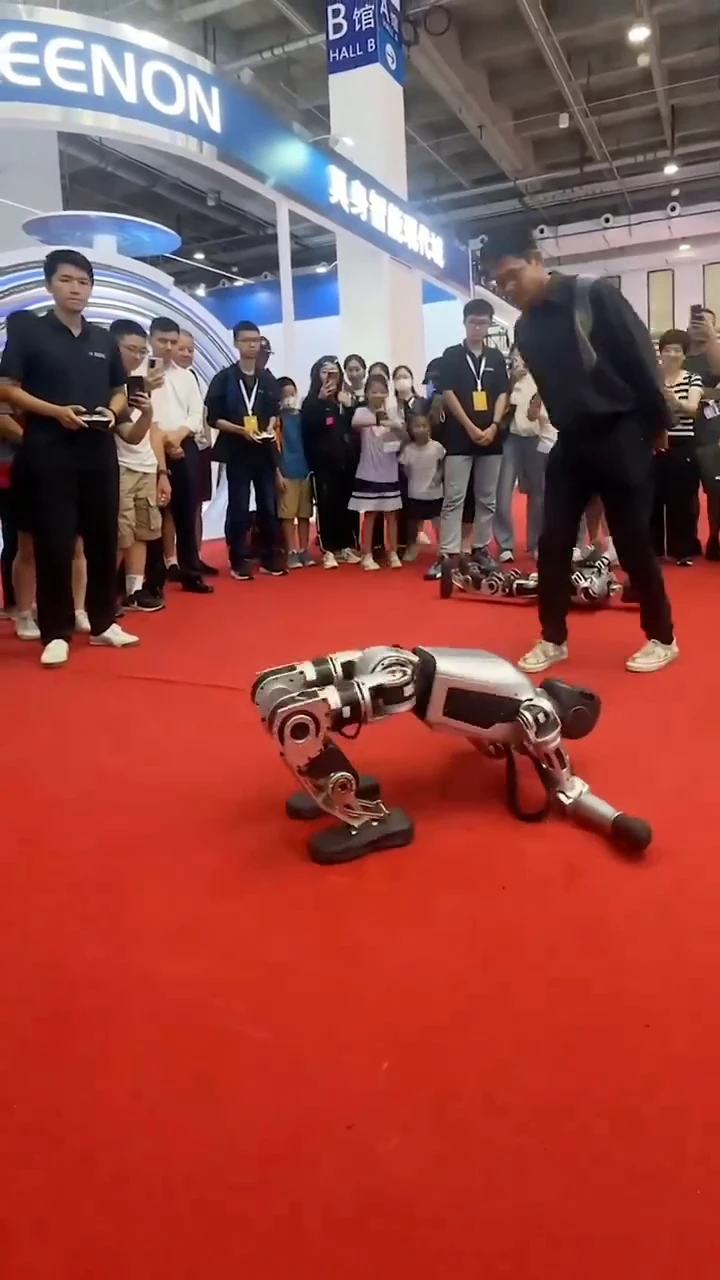 Booster T1 Robot Parade: Max-Level Cub, Max-Level Skills!