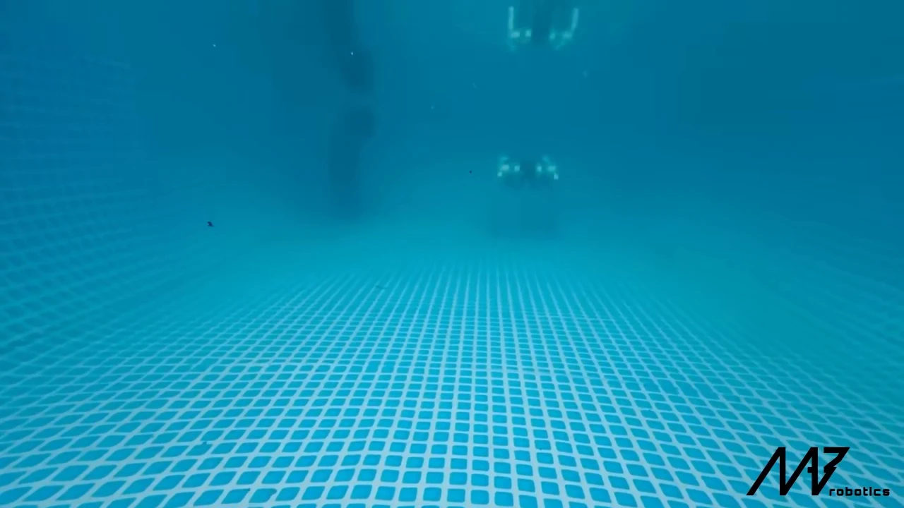Polish Startup Unveils Underwater Robot Dog