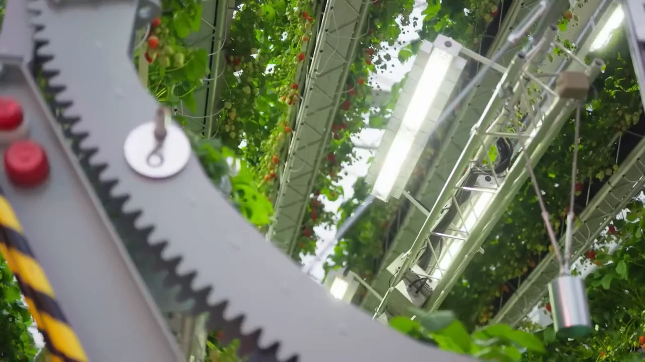 Dyson has built a giant robot greenhouse to grow strawberries