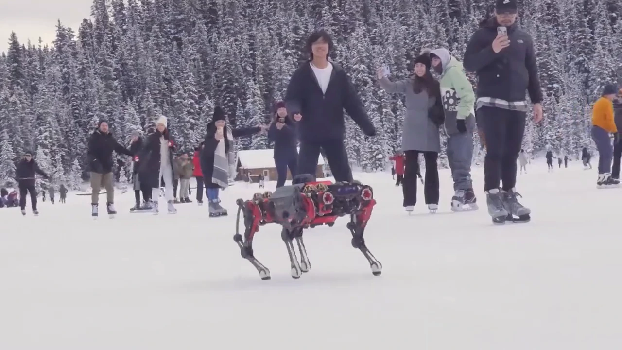 Quadruped robot you can assemble yourself