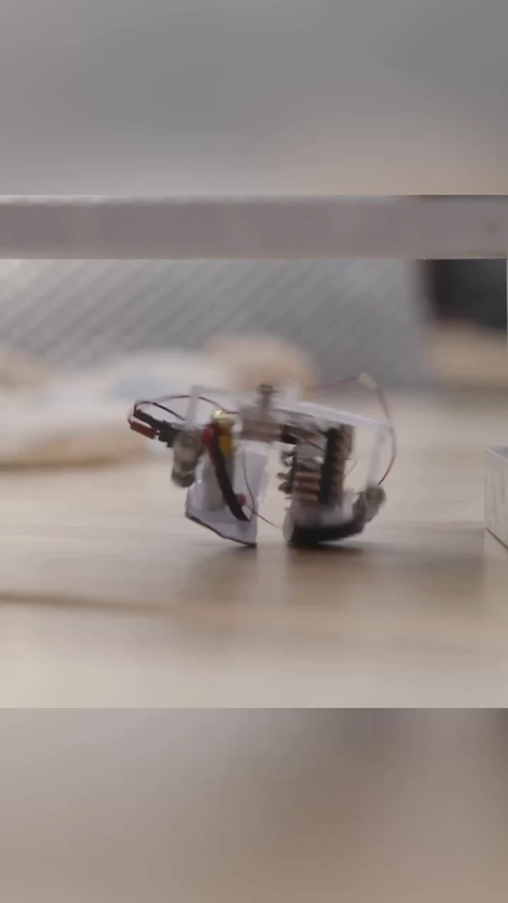 ZIPPY The world's smallest, power-autonomous bipedal robot