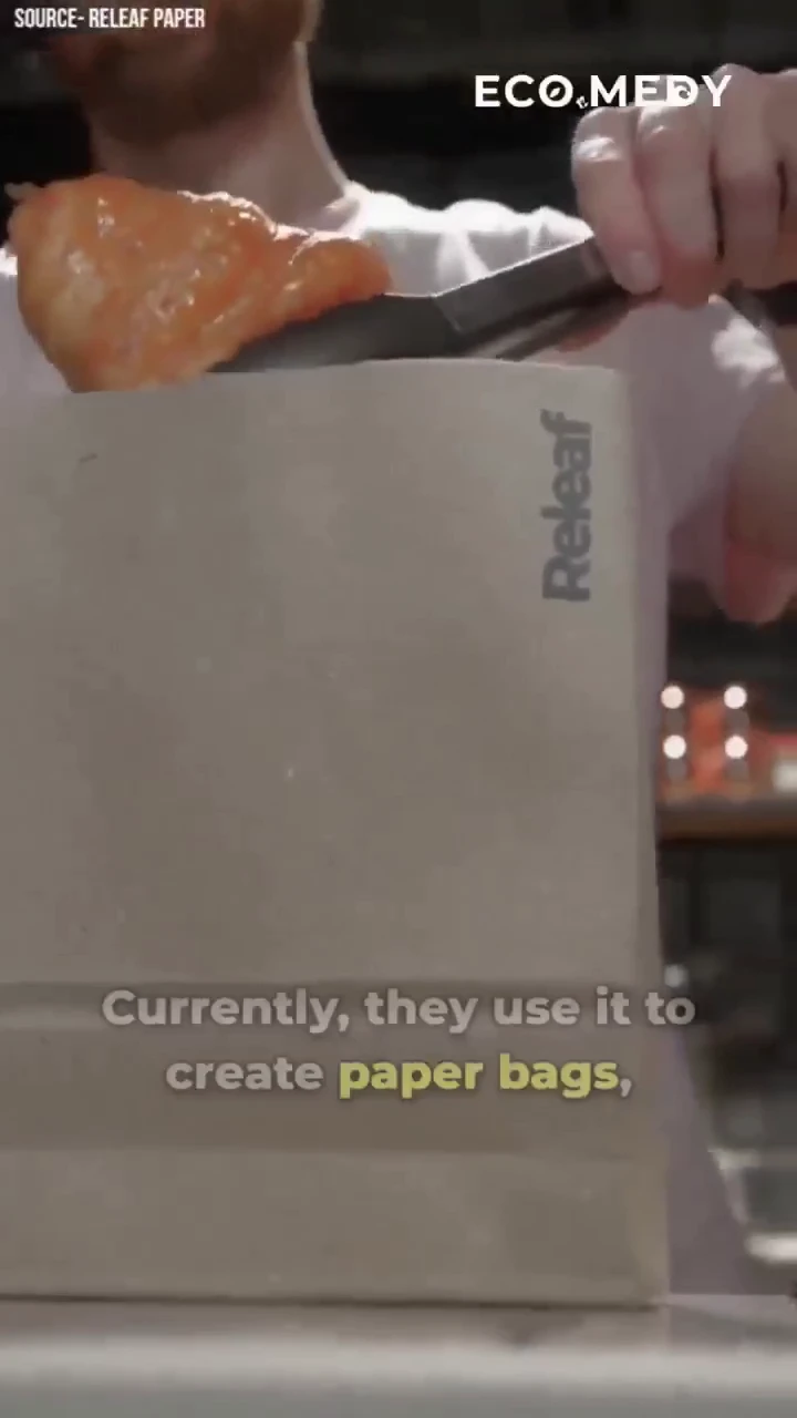 From fallen leaves to sustainable paper